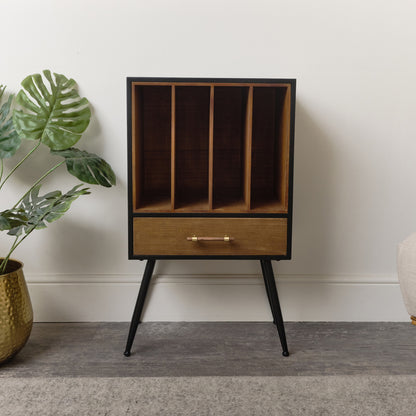 Mid-Century Modern Vinyl Record Storage Cabinet