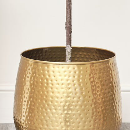 Medium Gold Hammered Metal Planter